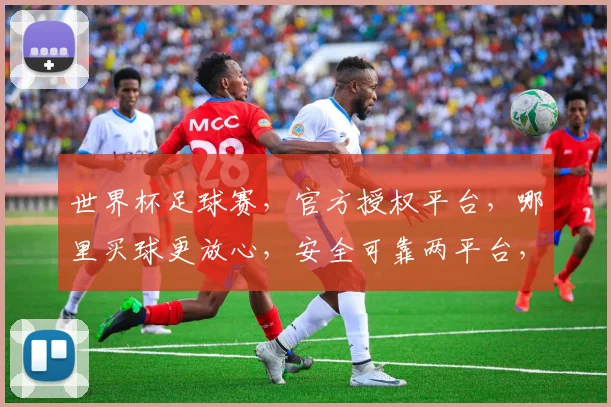 世界杯足球赛，官方授权平台，哪里买球更放心，安全可靠两平台，选对就赢