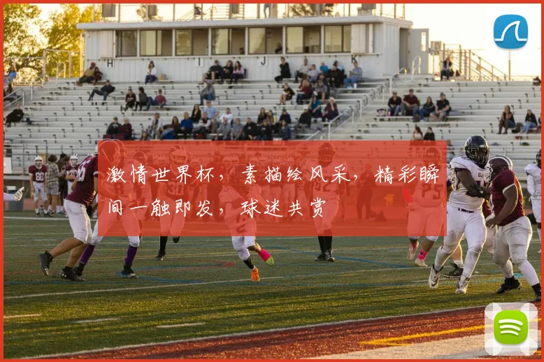 激情世界杯，素描绘风采，精彩瞬间一触即发，球迷共赏